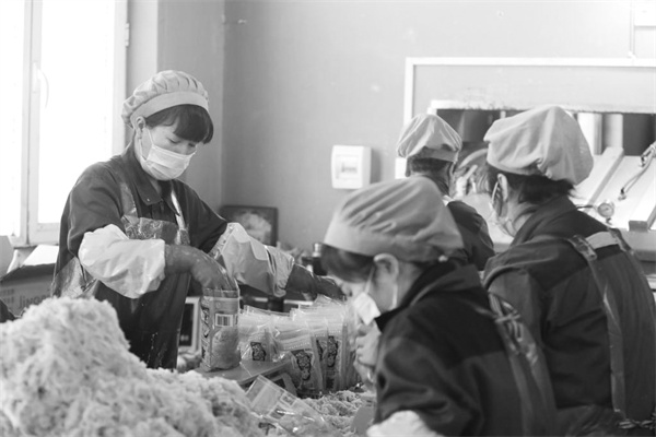 3-1 2 黑龙江翠花集团新民.jpg