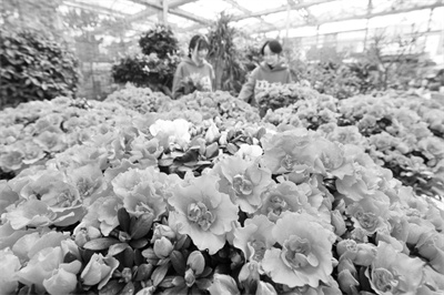 3-1 1 2024年2月8日，市民.jpg