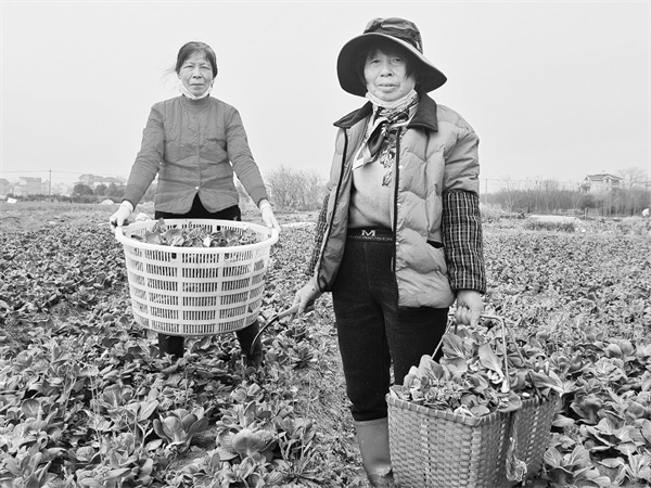 1709548514963040.jpg 7-3 5.jpg