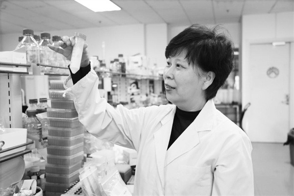 1709813797789507.jpg 2-2 1 2 孙媛霞在实验室中展示糖。新华社发.jpg