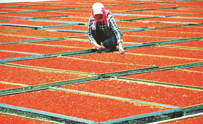 1-3 图3以品质优势塑造品牌优势.jpg