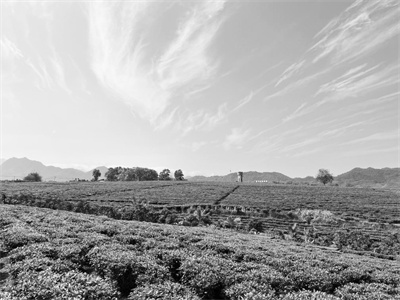 3-2 4 图为位于白沙县城附近.jpg