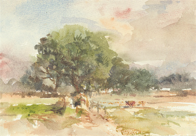 1712492157366252.jpg 樟树群 12.5x18cm 纸本水彩 2013年.jpg