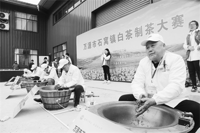 1713077578334629.jpg 2-1 1 制茶高手上演指尖上的激烈“较量”。马发海摄.jpg