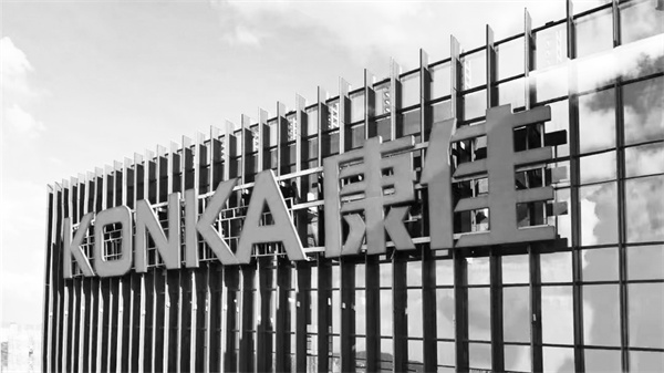 3-2 图2 44岁的康佳.jpg