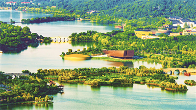 1713688131832252.jpg 老虎洞看跨湖桥遗址周边 .jpg