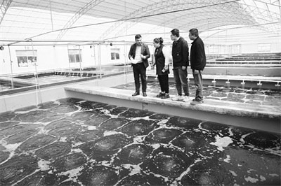 3-1 4 （图片新闻）江苏连.jpg