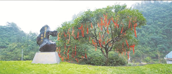 1715087236509727.jpg 6-1 1.jpg