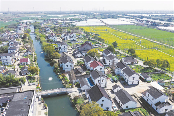 1-1 1 1 这是浙江省嘉兴市.jpg