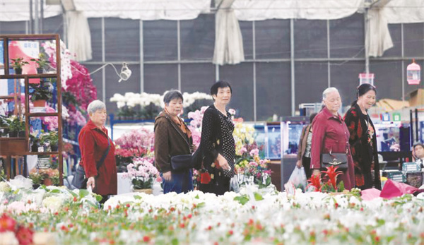 4-3 3 成都花卉产业.jpg