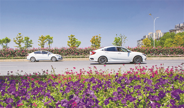 4-4 4 花园里的大武汉.jpg