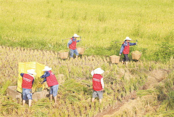 4-8 (8)国家电网四川电力.jpg