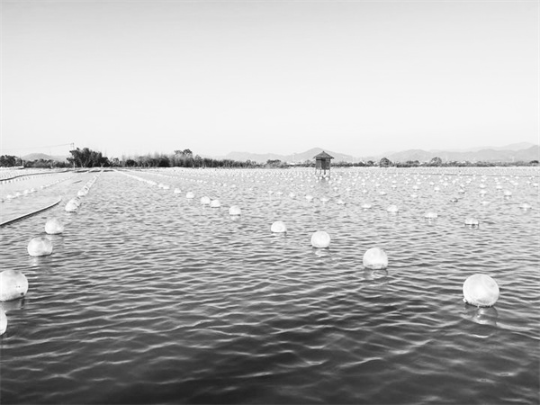 1716376010504710.jpg 3-1 1 浙江省诸暨市.jpg