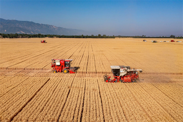1 端牢“中国饭碗.jpg