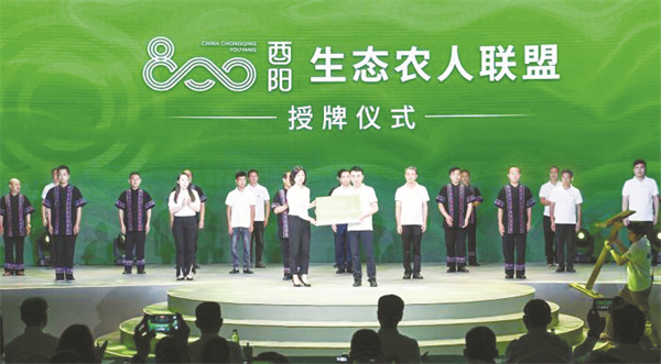 1-3 图2区域公共品牌如何“出圈”.jpg