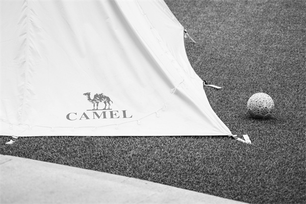 3-1 图1搅局女性和专.jpg