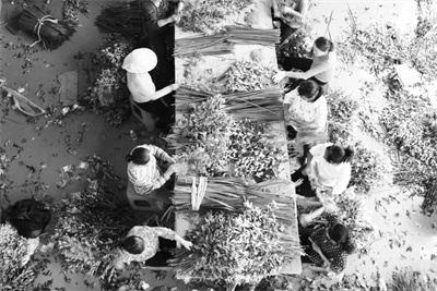 1721377500594491.jpg 3-1 图1 “黄冈好物”出山出圈.jpg