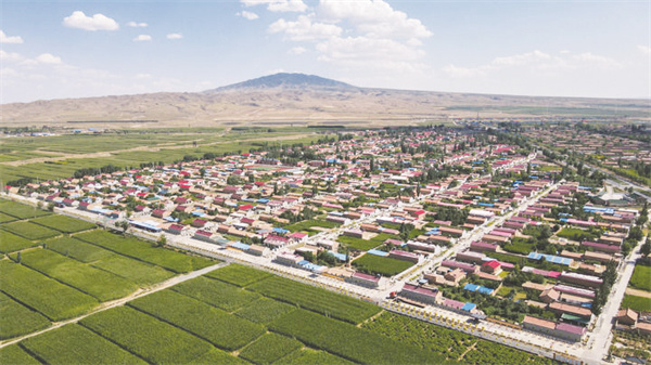 1-1 1 1宁夏吴忠市红寺堡区.jpg