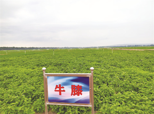 1723028176916919.jpg 8-2 3 走进山西五寨.jpg