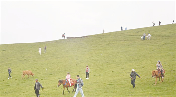 1723114572966001.jpg 1-2 1 2.jpg