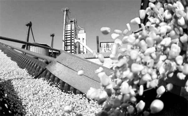 1723469701426161.jpg 3-5.jpg