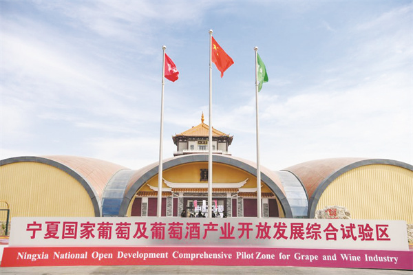 1723471318713696.jpg 1-1 1 1贺兰山下放飞“紫色梦想”.jpg