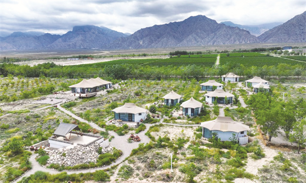 1723471334906686.jpg 1-2 1 2贺兰山下的.jpg