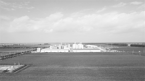 7-1 1 1， 十月稻田.jpg