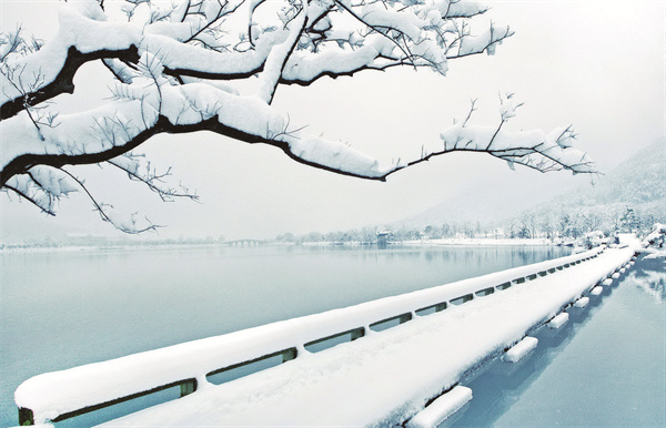 1724550895876792.jpg 冬 周少伟摄.jpg