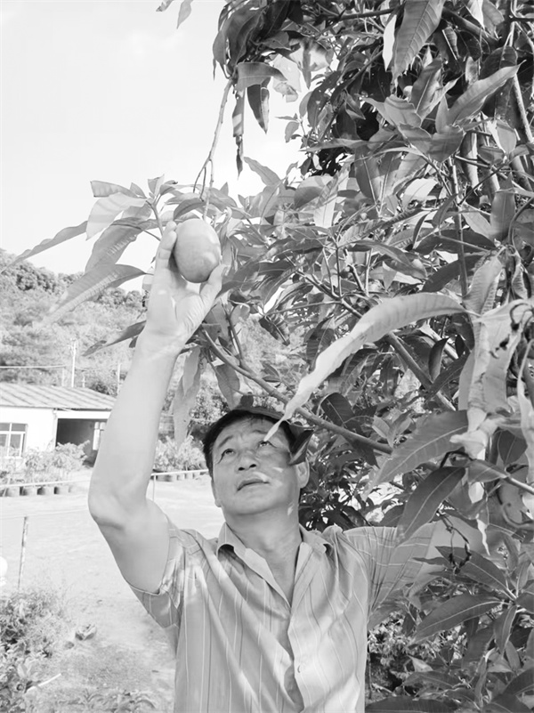 1725454469590583.jpg 6-3 3必发 林新色.jpg