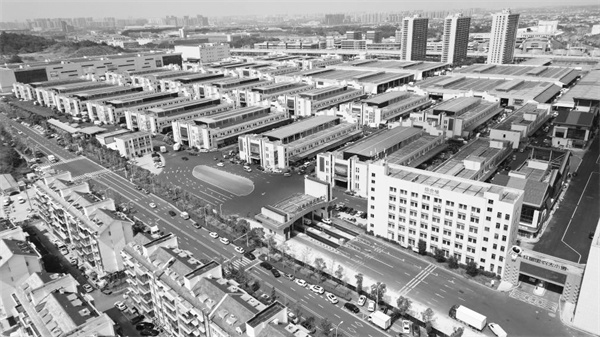 1725456944964562.jpg 3-3 3,长沙市雨花区红星全球农批中心。许海峰 摄.jpg