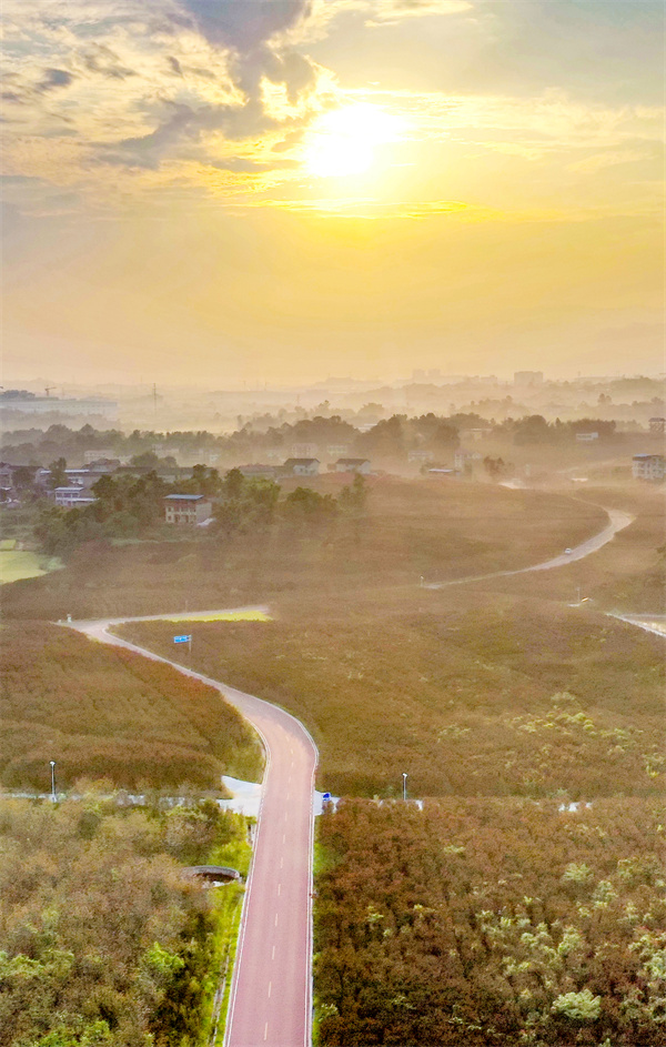 2 2 四川华蓥“三大产业”筑起绿色生态屏障.JPG