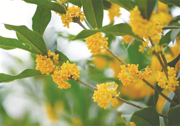 8-2 8配图备用.jpg