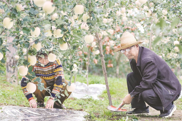 4-4 图4从田间地头到“云端”市场.jpg