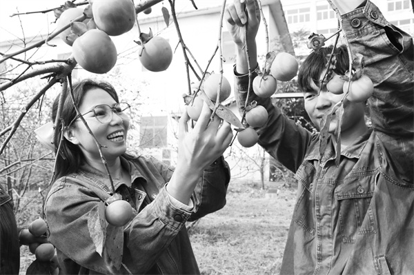 7-3 7备用图片新闻.jpg