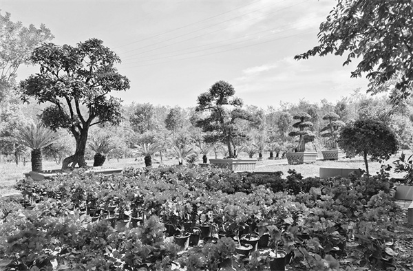 7-2 4鄂西北高速开启庭.jpg