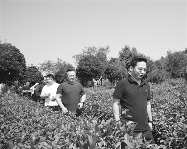 1734353963409707.jpg 2-3 4,曾宪斌(右一)带着他的团队.jpg