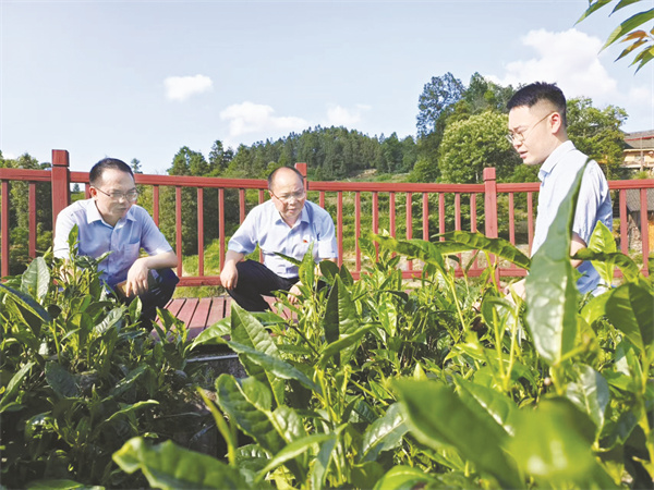 8-4 2 2保靖农商行行长吴志.jpg