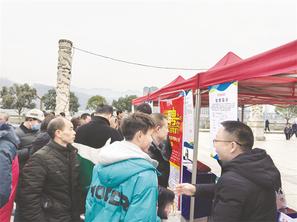 1739359143600424.jpg 4-5 6 招聘信息展示牌前咨询者络绎不绝.jpg