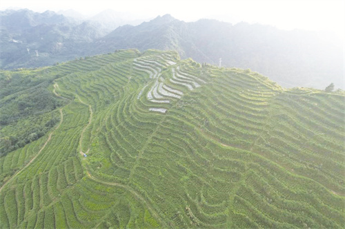 1739794567362347.jpg 4-4 1 4,云雾缭绕的永顺县砂.jpg