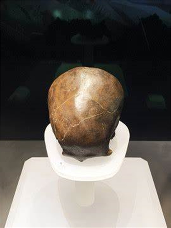 3 2 资阳人头骨化石.jpg