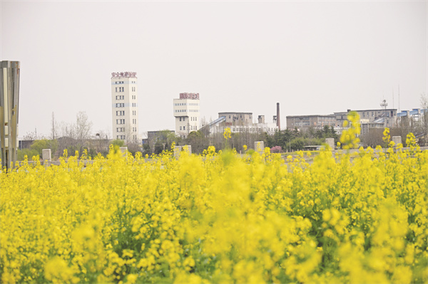 8-3 3朱仙庄煤矿.jpg