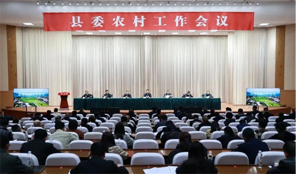 1 会议现场.png