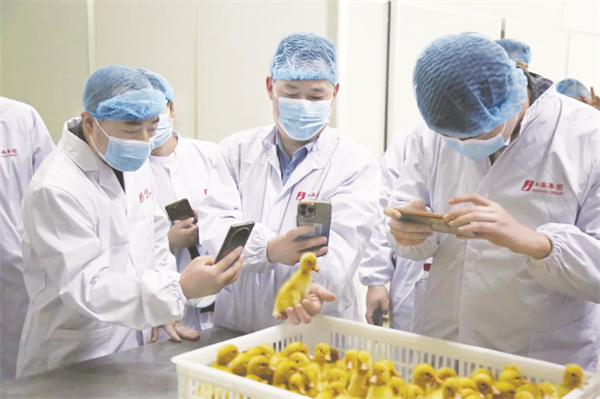 5-1 图3（必发）河南华英公司.jpg