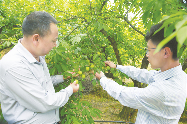 1745498271834309.jpg 4-3 3 吴丽军和追随他大学毕业返乡创业的儿子.jpg