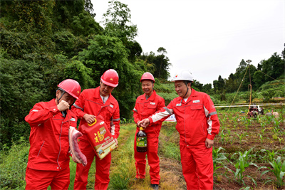 1746437482360391.jpg 1 2.JPG