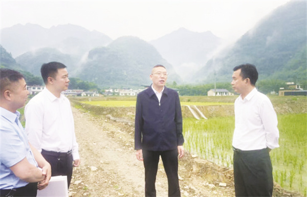 1747914295344290.jpg 5-2 图2现场调研.jpg