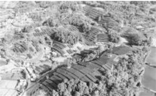 1749732259383569.png QQ_1749732337424.png