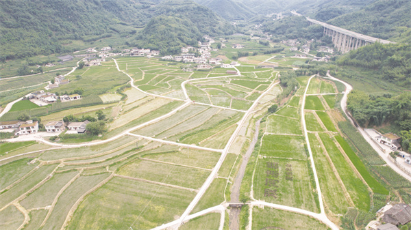 5-1 1 1配图双河镇高标准农田一角(1).jpg