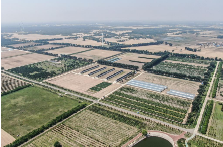 1750352257932177.png 62.png